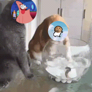 meme moyu